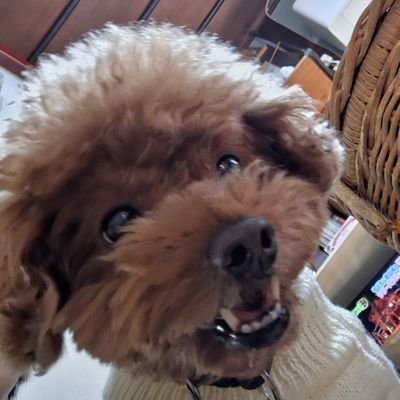 i1tlnWLnn2MSoyG's profile picture. R6年度在外教育施設派遣