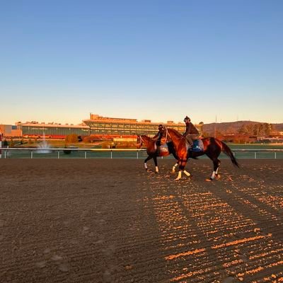 Amo El Hipismo Venezolano El Mejor Del Mundo😍🏇Amo El Deporte🔥

Recuerda La Vida Es Un Baile En Cualquier Momento Damos La Vuelta🙏

Suscripcion 0412-0294267