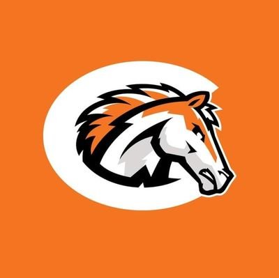 Official Twitter home of the Canberra Cavalry; 2013 Australian Baseball League Champions; 2013 Asia Series Champions. Official Hashtag = #CHARGE