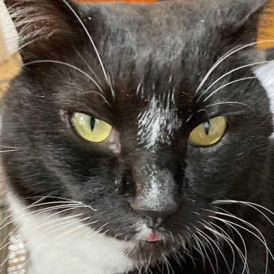 Capu2Has's profile picture. 最近気づいたけど オヤジギャグ好物です