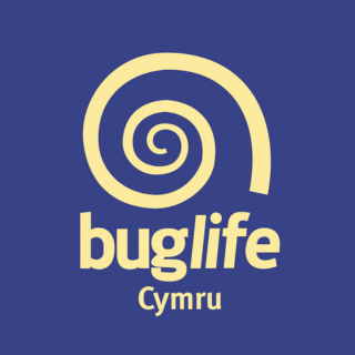 The official Twitter account for Buglife in Wales! Follow us for news, chat, information and events about Welsh invertebrates and their conservation.