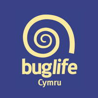 BuglifeCymru(@BuglifeCymru) 's Twitter Profile Photo