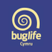 BuglifeCymru (@buglifecymru) Twitter profile photo BuglifeCymru (@buglifecymru) Twitter profile photo