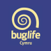 BuglifeCymru (@BuglifeCymru) Twitter profile photo