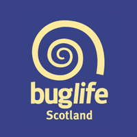 BuglifeScotland(@BuglifeScotland) 's Twitter Profileg