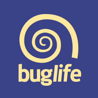 The official X account for Buglife in Northern Ireland has moved!

Please follow/tag @Buzz_dont_tweet & use #BuglifeNI to stay in touch