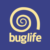 BuglifeNI (@buglifeni) 's Twitter Profile