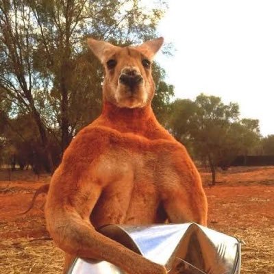 maratoom's profile picture. 社会のあらゆるストレスを粉砕する