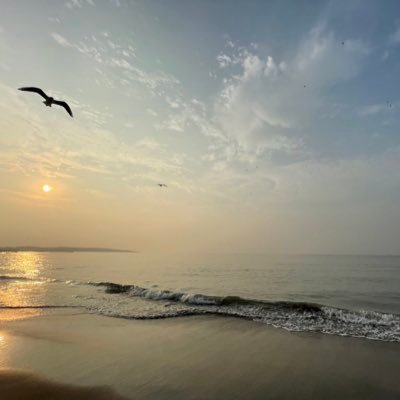 Devanshi Profile