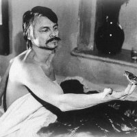 🇵🇸🏳️‍⚧️FLFrancesca🔻 (@m7aie8) 's Twitter Profile Photo