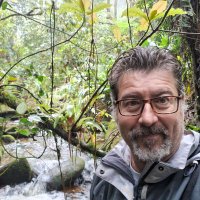 Luis Schiesari (@luisschiesari) 's Twitter Profile Photo Luis Schiesari (@luisschiesari) 's Twitter Profile Photo