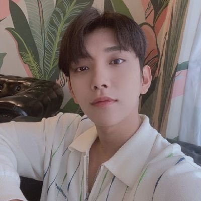 ・‧₊˚ ੈ❛ 조슈슈슈 - 우지단 - 쿱랑 ༉‧₊˚✧・ cita-cita pengen tinggi, tapi susah. yaudah ganti cita-cita pengen disayang shua aja | Talk a lot about stocks 📈