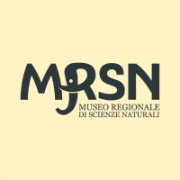 MRSN Torino (@mrsntorino) 's Twitter Profile