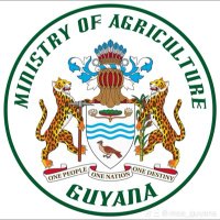 Ministry of Agriculture - Guyana (@minagrigy) 's Twitter Profile