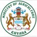 Ministry of Agriculture - Guyana (@minagrigy) Twitter profile photo Ministry of Agriculture - Guyana (@minagrigy) Twitter profile photo