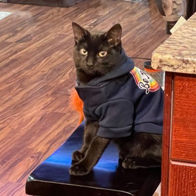 emwolb16's profile picture. 