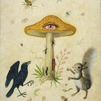 magic mushrooms dispensary(@petercharls72) 's Twitter Profile Photo