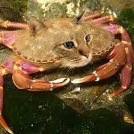 slingerwood75's profile picture. Not a lot to tell more of a follower.