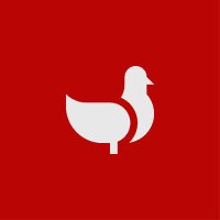 Pigeon DAO (@_pigeondao) 's Twitter Profile