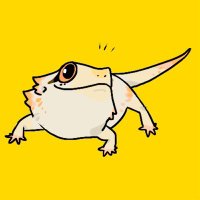 某某修 (@yu74126906) 's Twitter Profile Photo