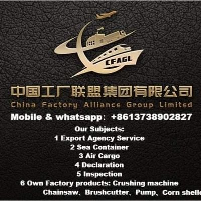 China Factory Alliance Group LTD
Import & export of goods
International logistics
Business services