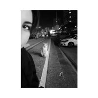 buse cakır (@atamaa0000) 's Twitter Profile