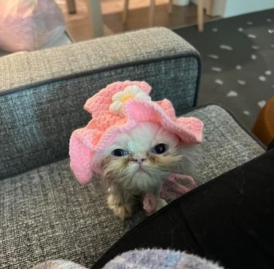 _ilameez's profile picture. *الي يزعلني يارب يموت*