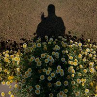 بسملــه 𓂆 (@basmalaa_mohamd) 's Twitter Profile