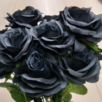 Ayysri1991's profile picture. 