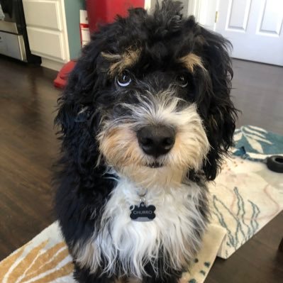 joshbenner9's profile picture. 