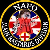 🌻 🎗️NotABot is a Main Bastard 🇹🇹🇬🇧🇺🇦🇪🇺(@VerteuilAde) 's Twitter Profile Photo