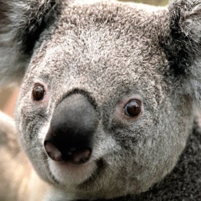 kintuenock45883's profile picture. 