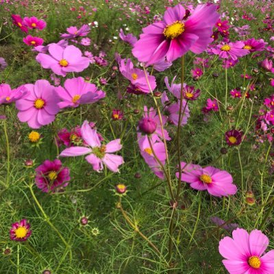 Qgnufyskgjc's profile picture. 