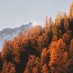 Fall 🍁 (@winter_snowcold) Twitter profile photo Fall 🍁 (@winter_snowcold) Twitter profile photo