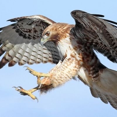 BioHawk2's profile picture. Biotech trader with  over 10 years experience, follow the science and keep distance from pump & dump traders.
Likes are mostly a bookmark and not endorsement.