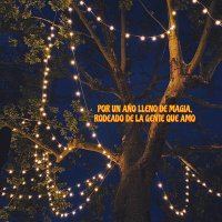 Marcos Orellana. ChoiseAI⚡️⚔️ ⚡⚡🐺⚡⚡ (@0x_15da) 's Twitter Profile