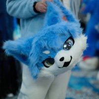 昆鹏caldwell (@caldwell_peng) Twitter profile photo