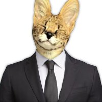 SneakyBeakySpy (@sneakybeakyspy) 's Twitter Profile Photo