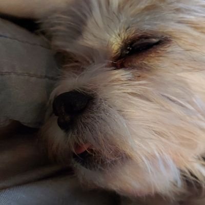 omie90779294's profile picture. Sweet soul and a potty mouth.  This southern grandma is fed up and praying for a better future for my babies.