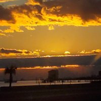 scullysully228 (@scullysully228) 's Twitter Profile