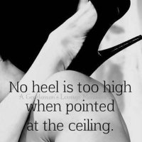 Nightdiver92 (@feetsinhighheel) 's Twitter Profile Photo Nightdiver92 (@feetsinhighheel) 's Twitter Profile Photo