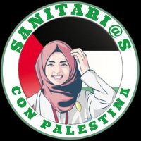 Sanitarios con Palestina PV (@sanpalestinapv) 's Twitter Profile