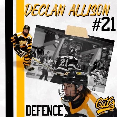 2006 6’2” 185lbs #21 Cubs U18AAA D-man in GNML
Asst. Coach U15A Hawks 
Skills and Defence coach with CTG/Zach Bratina hockey/PEP 
Instagram - declan.14_