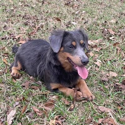 MoeTaylor814's profile picture. 