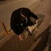 umut (@uumutk_) Twitter profile photo umut (@uumutk_) Twitter profile photo