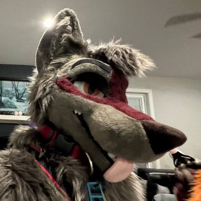 knotjoke's profile picture. 30 | Professional pilot | 1990s enthusiast | Spicy memer with a side of awoo noises | I take photos on film
