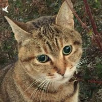aro (@arohiro74) 's Twitter Profile Photo aro (@arohiro74) 's Twitter Profile Photo