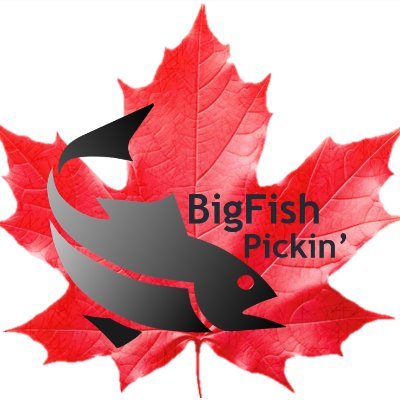 Big Fish hunter & Picker-seller-collector of vintage treasures & Canadiana

Selling the 