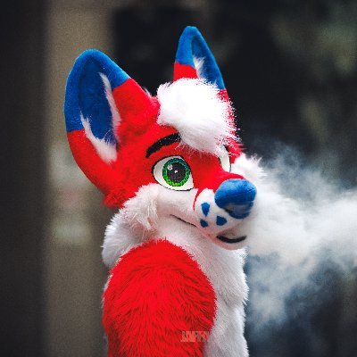 NickiDaFox Profile Picture