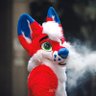 NickiDaFox's profile picture. I’m a small red and sometimes hyperactive fox🦊! Loves cycling🚴‍♀️🚶 | Photographer📸 | he/him | Bi | 💚: @jaffadoesphotos | NSFW 🔞